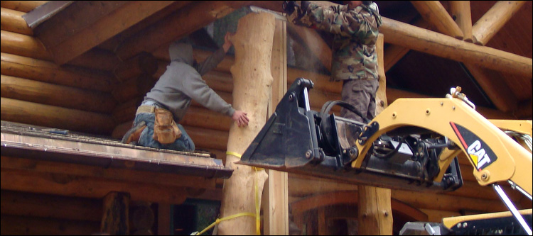 Log Home Log Replacement  Clark County, Ohio